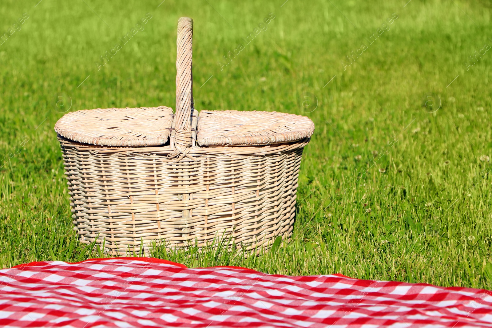 Photo of Picnic basket and checkered tablecloth on green grass outdoors