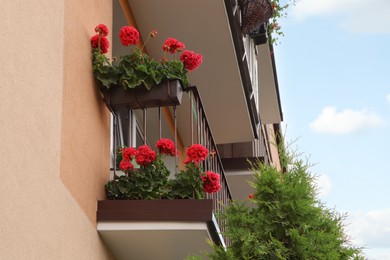 Photo of Balcony decorated with beautiful red flowers, low angle view