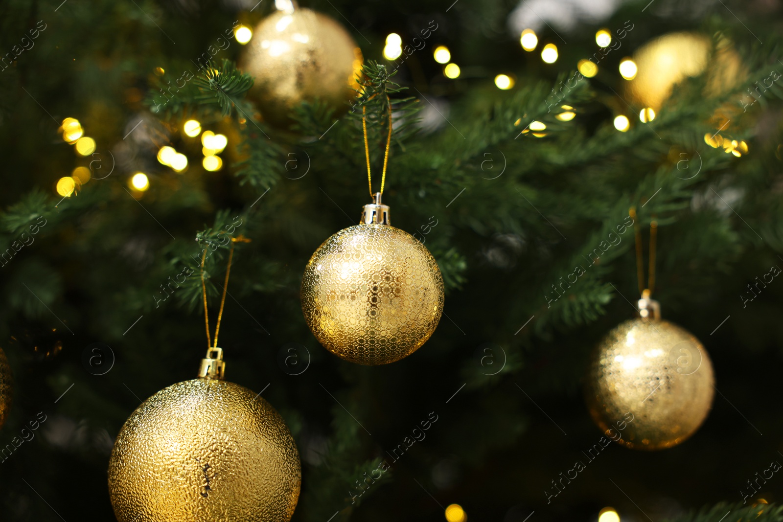 Photo of Beautiful Christmas balls hanging on fir tree branch, closeup