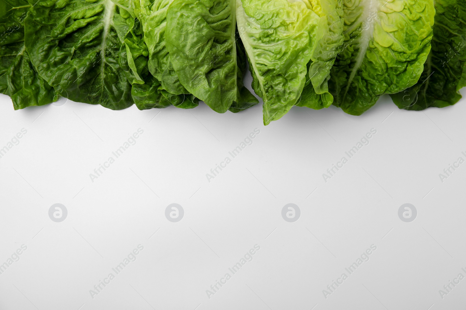 Photo of Fresh green leaves of romaine lettuces isolated on white, top view