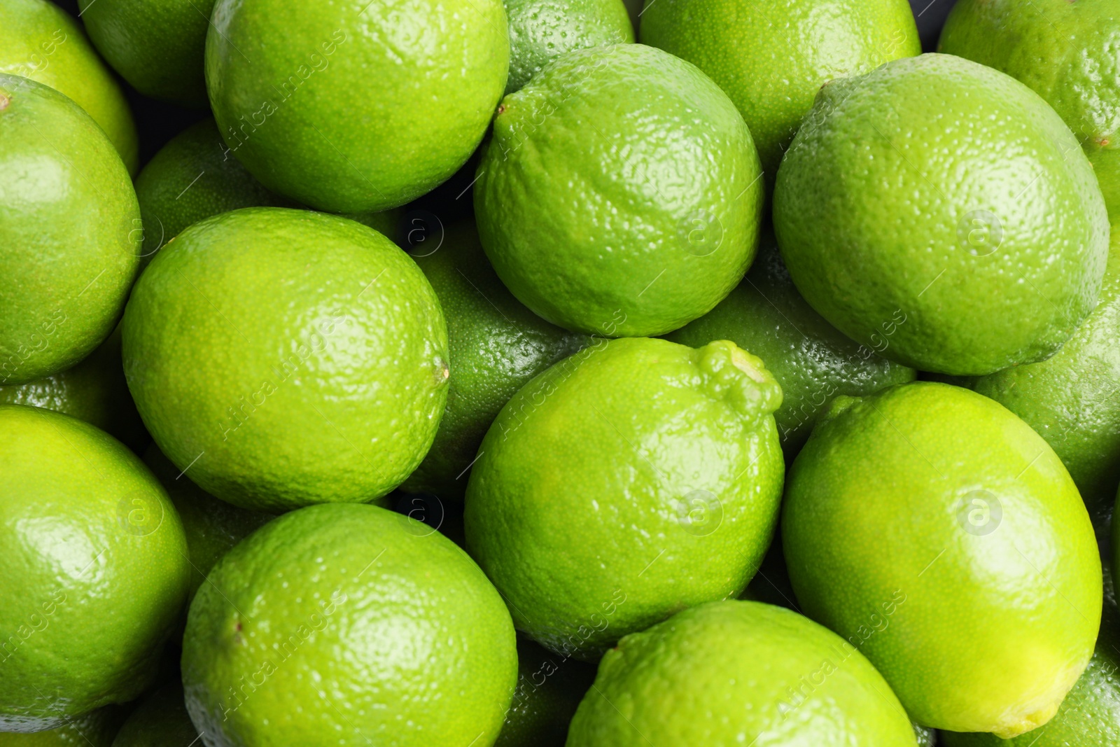 Photo of Fresh ripe green limes as background, top view