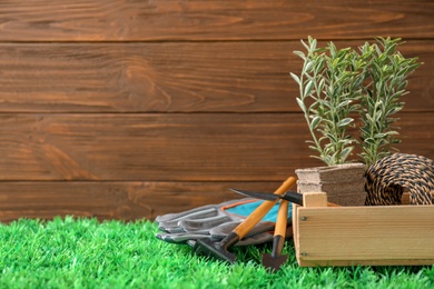 Plant and gardening tools on artificial grass