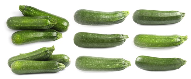 Image of Set of fresh ripe zucchinis on white background. Banner design