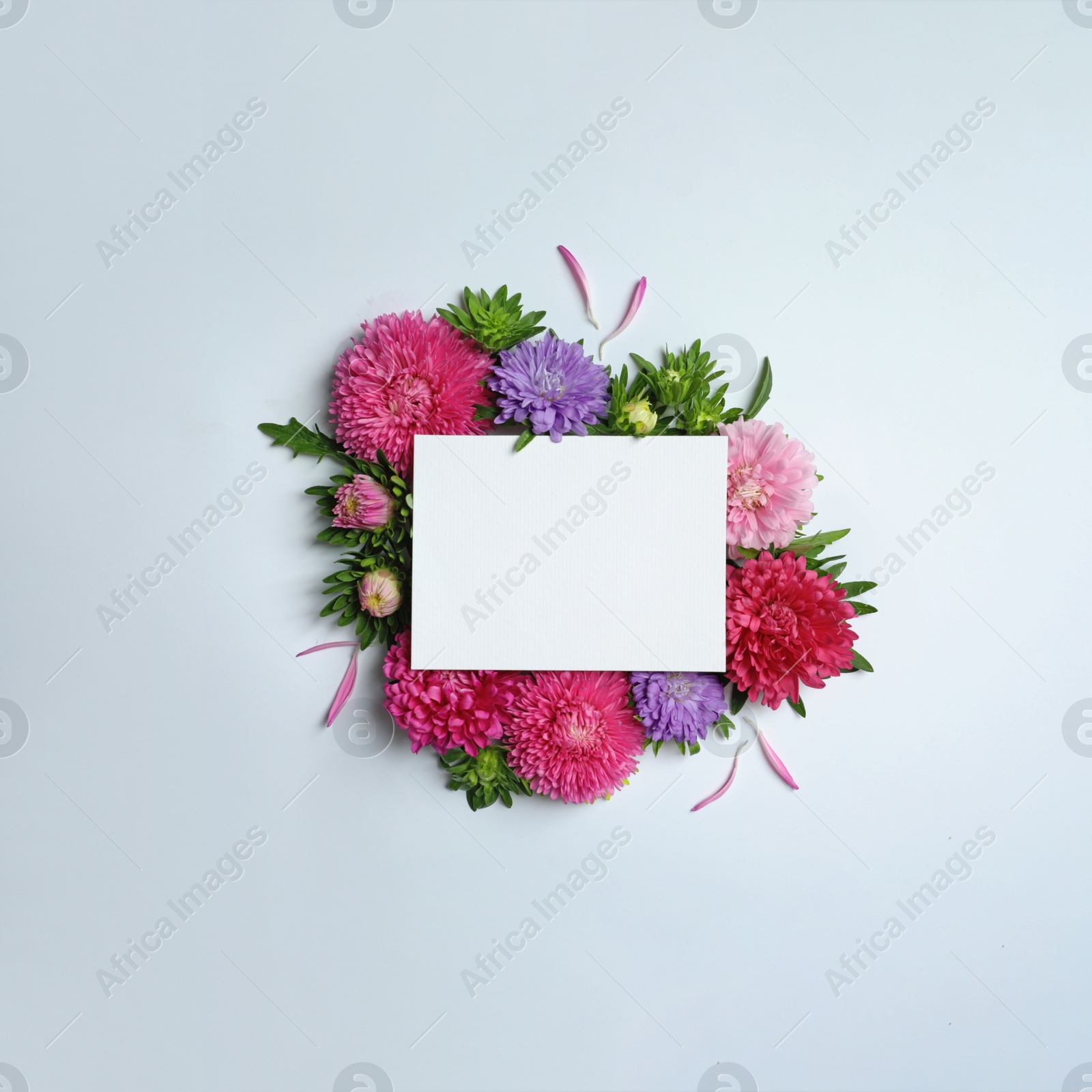 Photo of Beautiful aster flowers with sheet of paper on white background, top view. Space for text