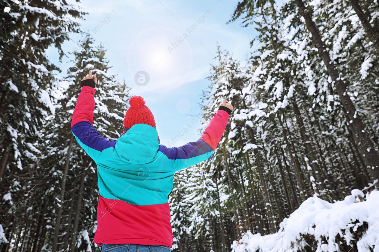 Photo of Woman in pine forest, back view. Winter vacation