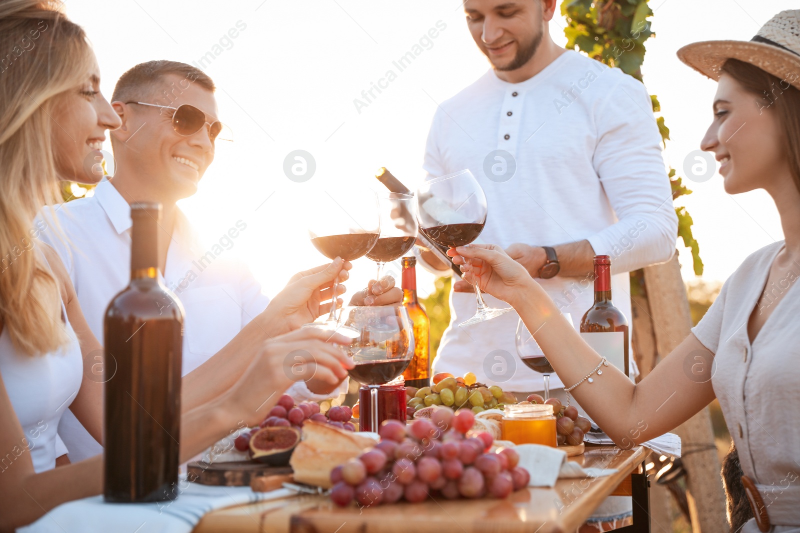 Photo of Friends holding glasses of wine and having fun in vineyard