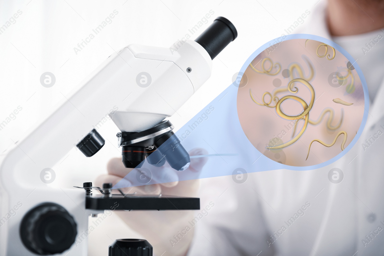 Image of Laboratory worker using modern microscope to examine helminths, closeup. Zoomed view on parasitic worms