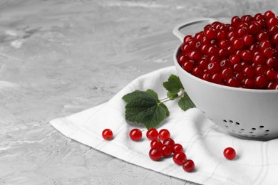 Photo of Ripe red currants in colander and leaves on grey textured table. Space for text