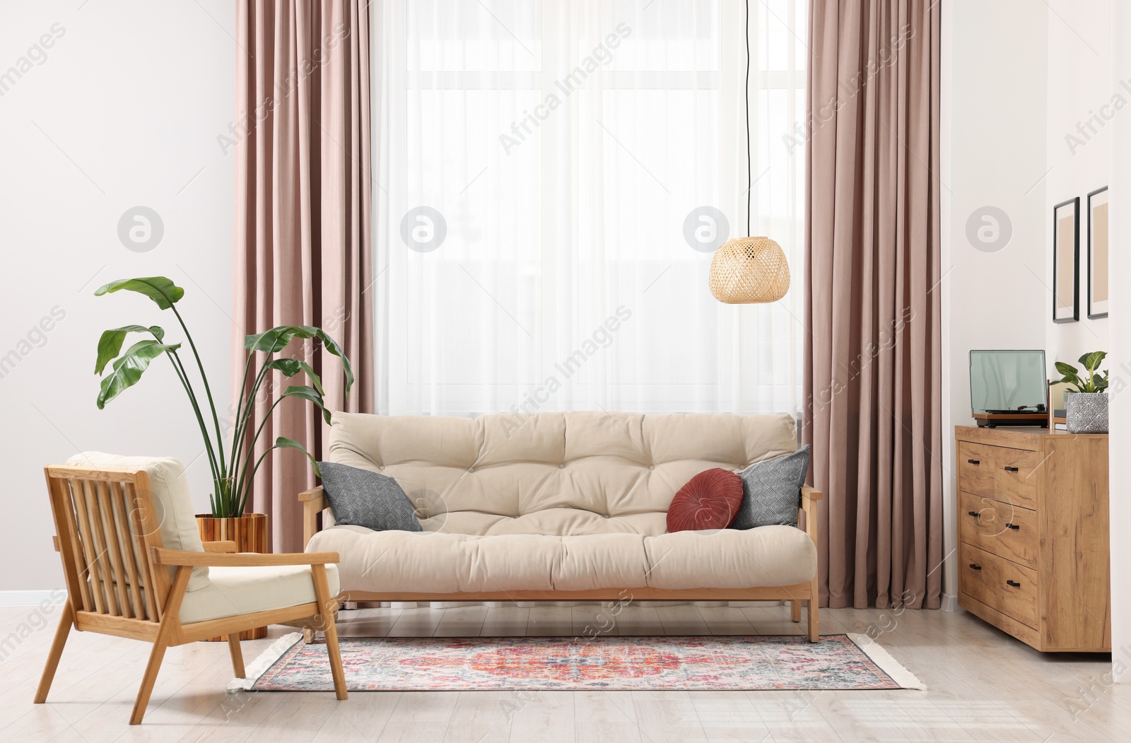 Photo of Beautiful rug, furniture and plant near window indoors