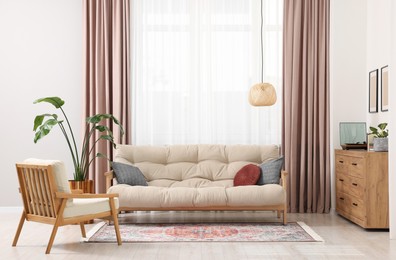 Beautiful rug, furniture and plant near window indoors