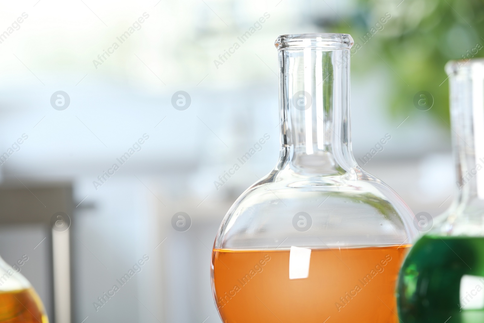 Photo of Florence flask with colorful liquid in laboratory, closeup. Space for text