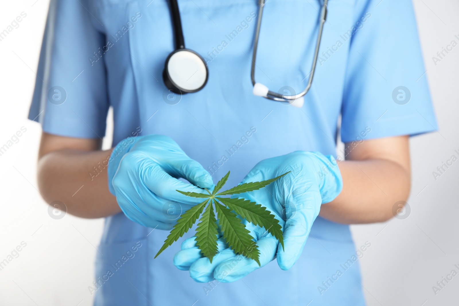 Photo of Doctor holding fresh hemp leaf on white background, closeup. Medical cannabis