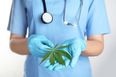 Photo of Doctor holding fresh hemp leaf on white background, closeup. Medical cannabis