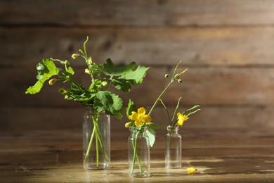 Celandine flowers in glass bottles on wooden table