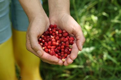 Woman with handful of fresh wild strawberries outdoors, closeup. Space for text