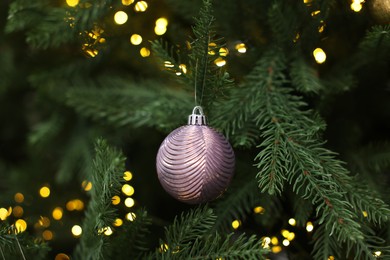 Photo of Beautiful Christmas ball hanging on fir tree branch, closeup