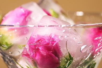 Photo of Ice cubes with frozen flowers in martini glass, closeup