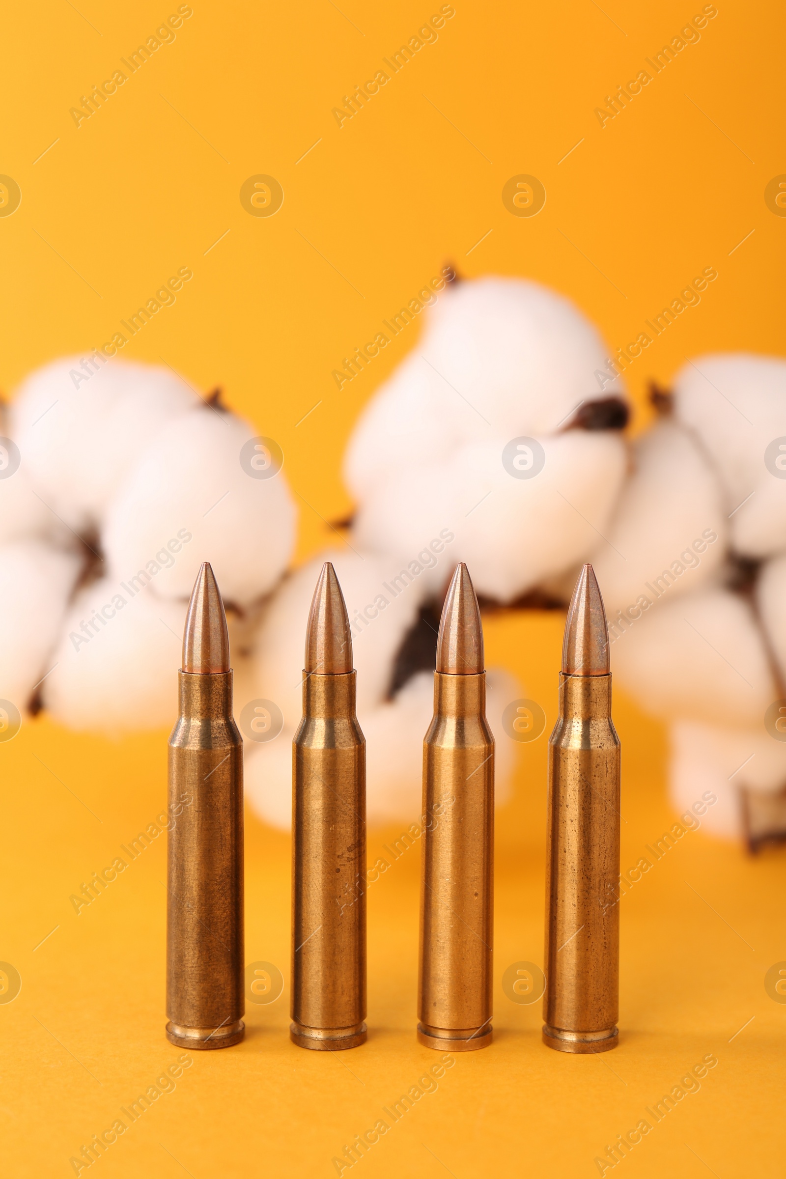 Photo of Bullets and beautiful fluffy cotton flowers on yellow background