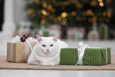 Photo of Christmas atmosphere. Adorable cat lying between gift boxes on rug in cosy room
