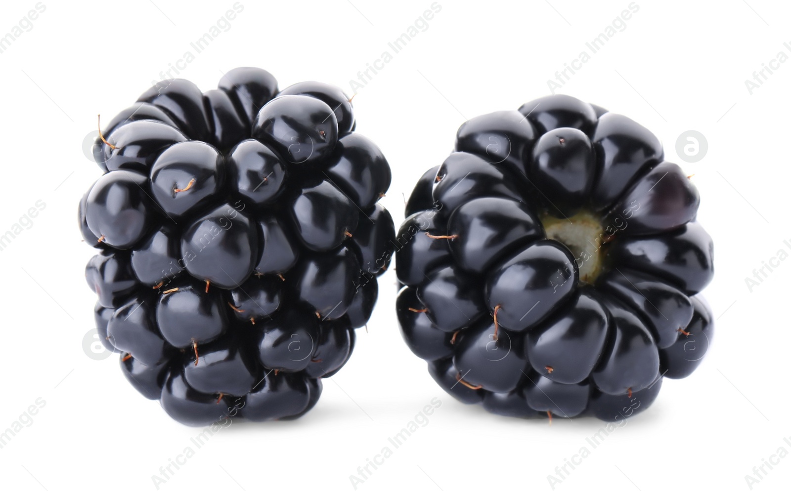 Photo of Two tasty ripe blackberries on white background