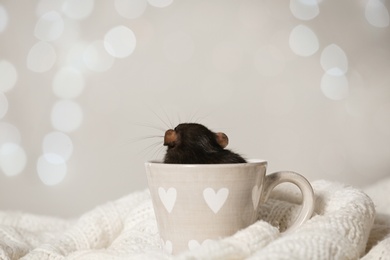 Photo of Cute little rat in cup on knitted blanket against blurred lights. Chinese New Year symbol