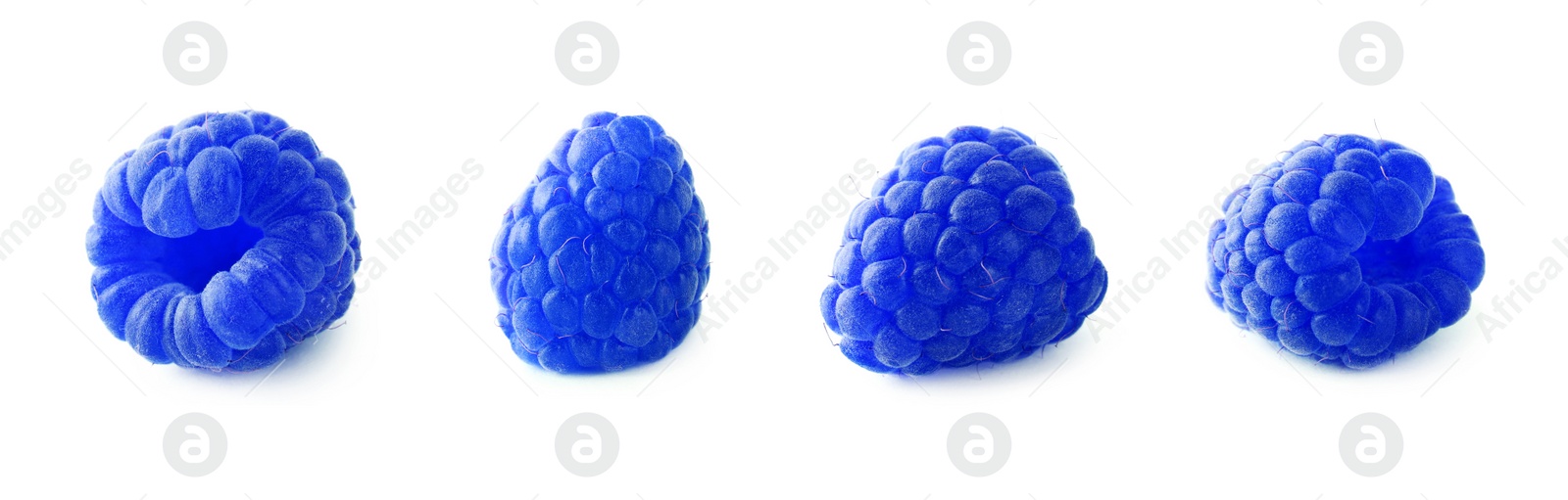 Image of Set of fresh blue raspberries on white background, banner design