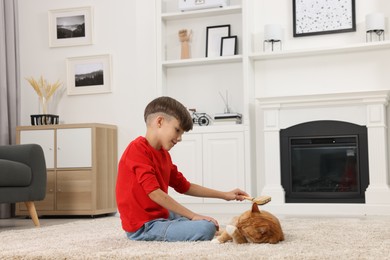 Little boy brushing cute ginger cat's fur on soft carpet at home