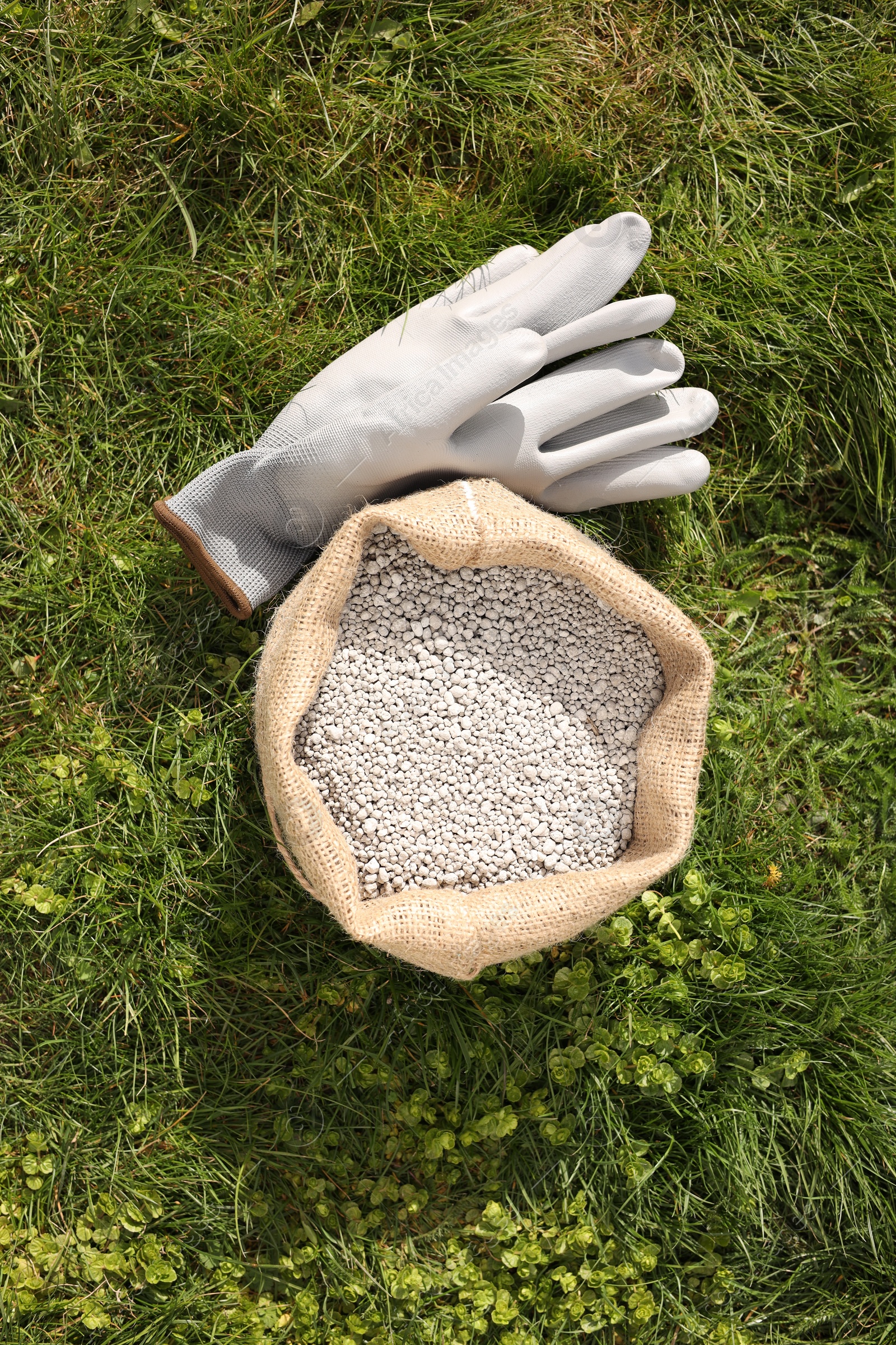 Photo of Fertilizer in bag and gloves on green grass outdoors, flat lay