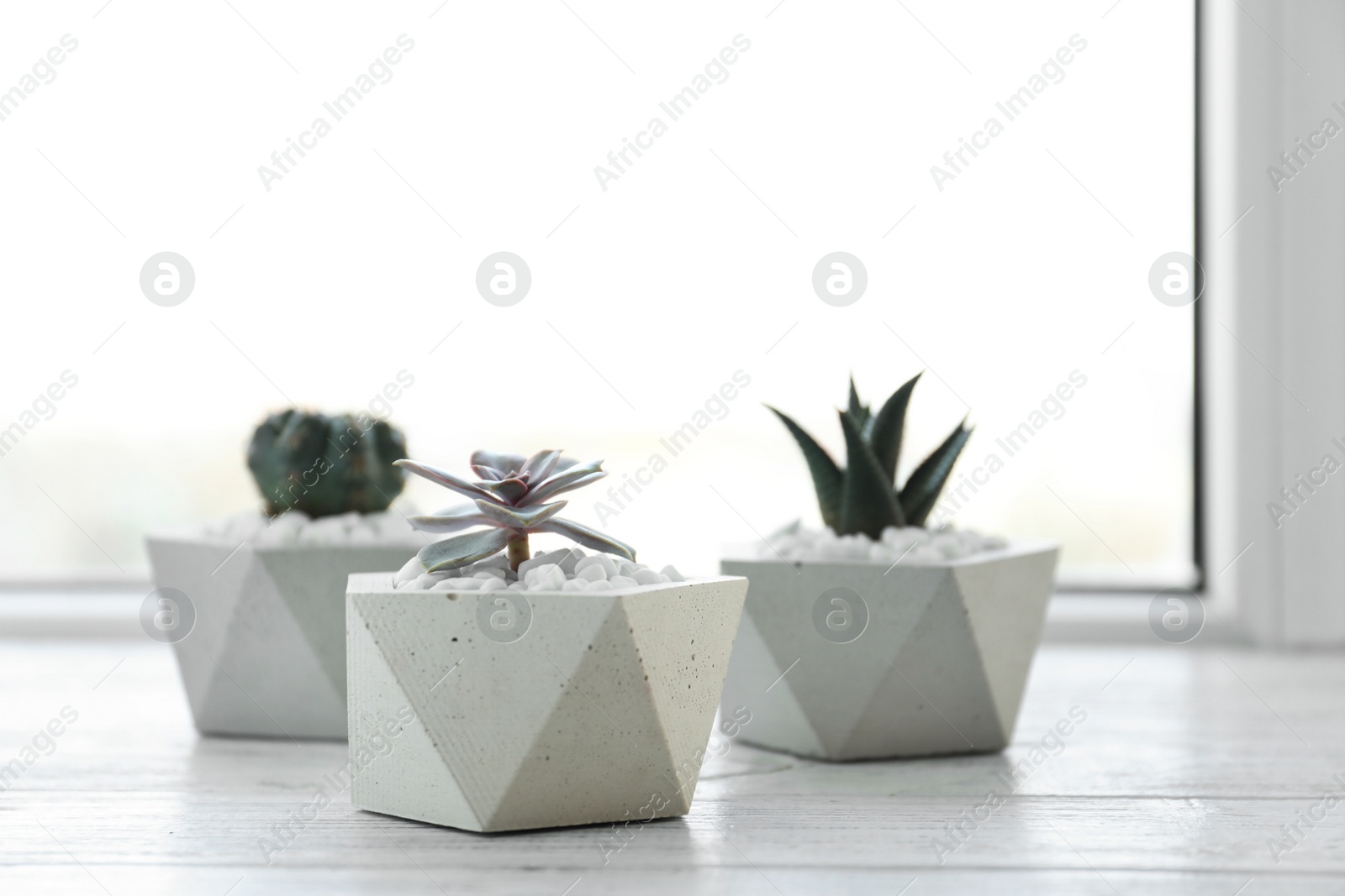 Photo of Beautiful succulent plants in stylish flowerpots on windowsill, space for text. Home decor