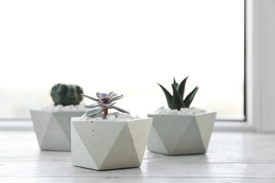 Beautiful succulent plants in stylish flowerpots on windowsill, space for text. Home decor