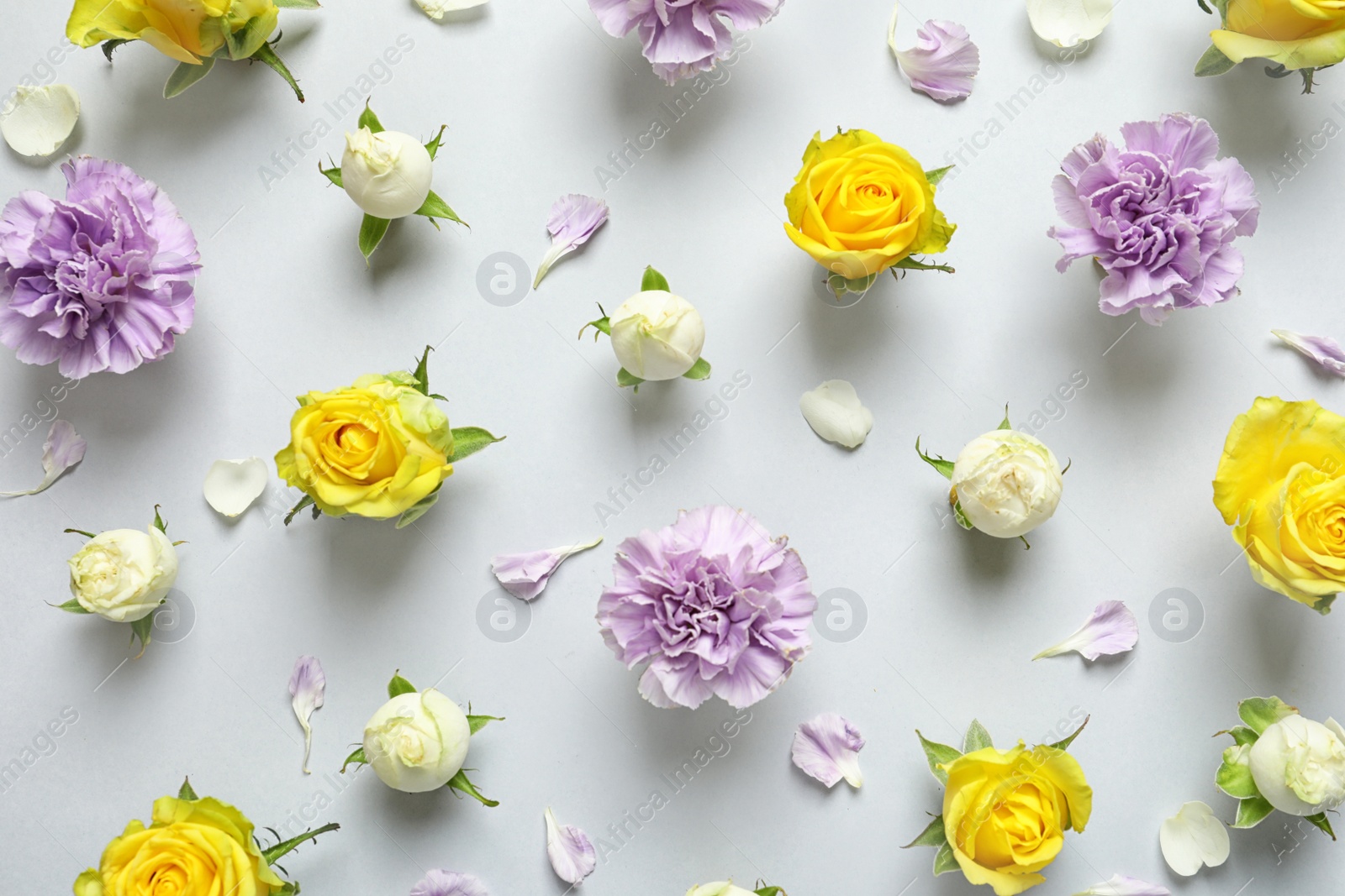 Photo of Flat lay composition with beautiful blooming flowers on grey background