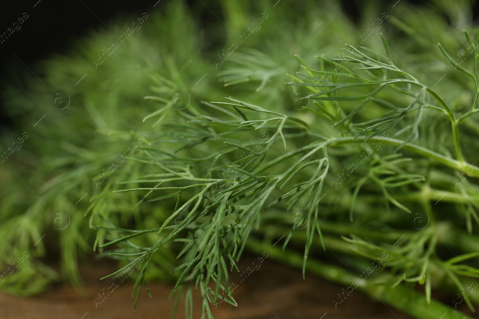 Photo of Fresh green dill on table, closeup view