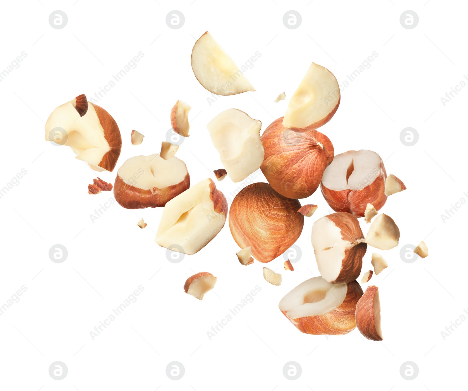 Pieces of tasty hazelnuts falling on white background Image of Pieces of tasty hazelnuts falling on white background