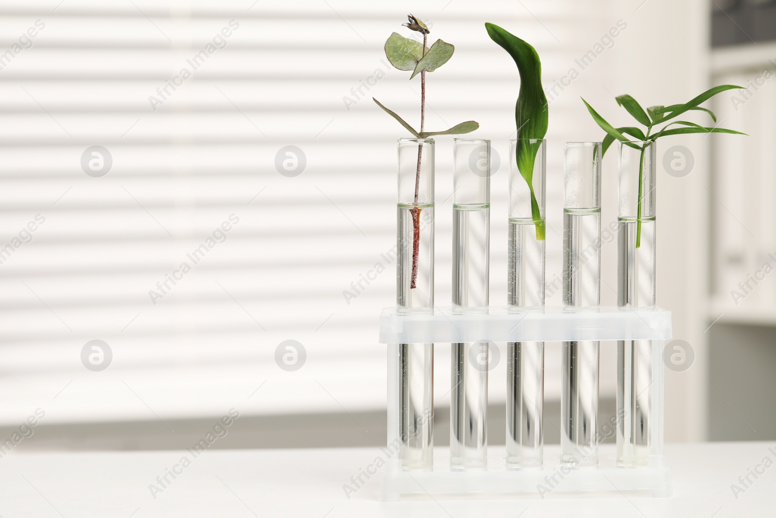 Photo of Test tubes with different plants on white table in laboratory. Space for text