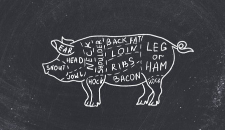 Illustration of Butcher's guide: Cuts of pork scheme.  pig on black background