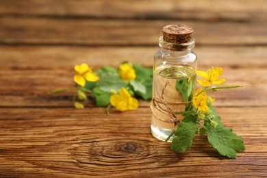 Photo of Bottle of natural celandine oil near flowers on wooden table, closeup. Space for text