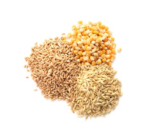 Photo of Different types of grains and cereals on white background