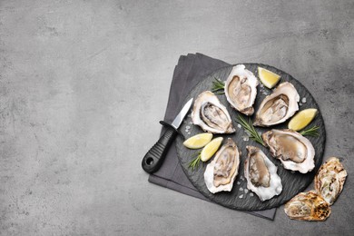 Photo of Delicious fresh oysters with lemon slices served on grey table, flat lay. Space for text