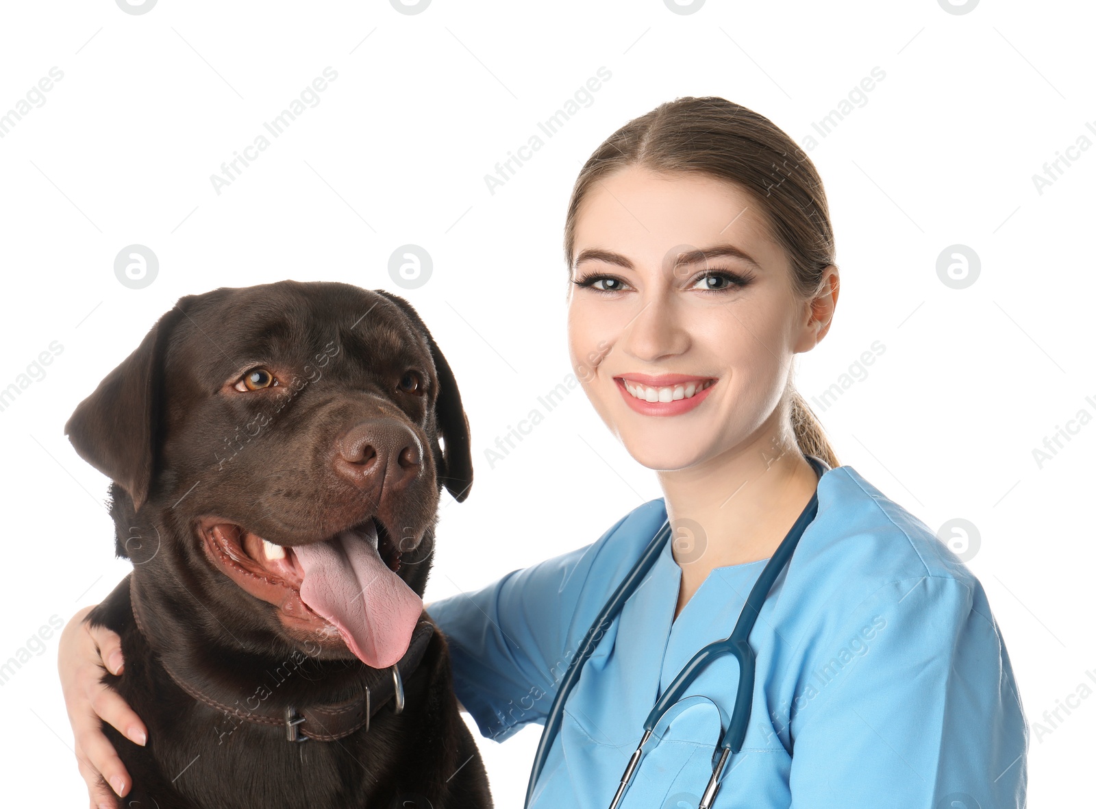 Photo of Veterinarian doc with dog on white background