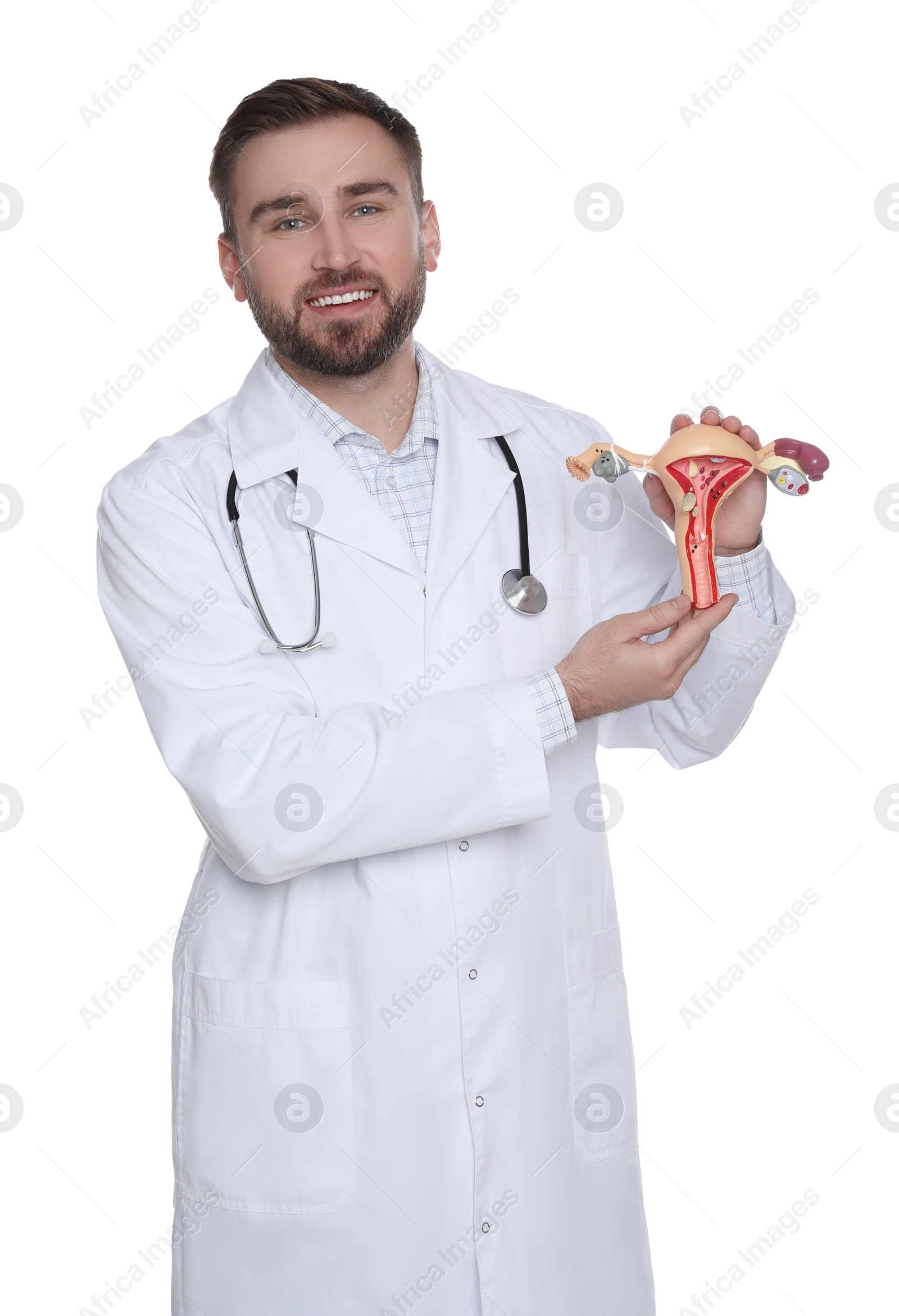 Photo of Doctor demonstrating model of female reproductive system on white background. Gynecological care