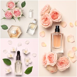 Image of Beautiful collage with photos of luxury perfume and flowers represent their fragrance notes on different color backgrounds, top view
