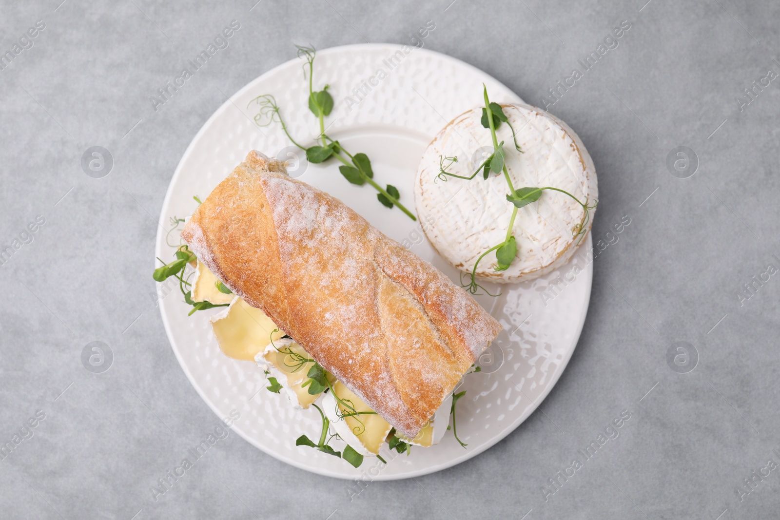 Photo of Tasty sandwich with brie cheese on light grey table, top view