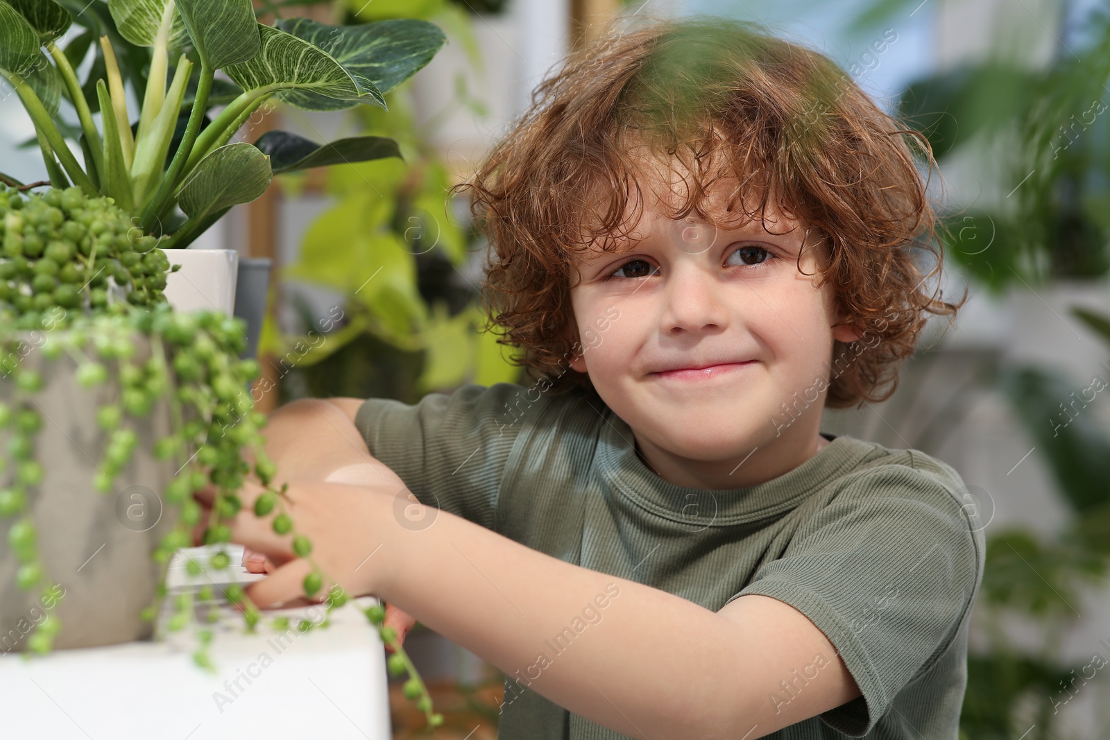 Photo of Cute little boy taking care of beautiful green plant at home. House decor