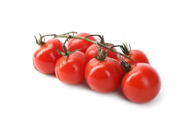 Photo of Branch of red roasted cherry tomatoes isolated on white