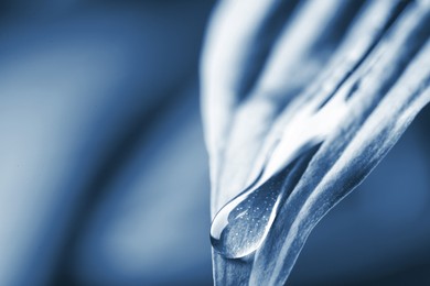 Image of Macro view of water drop on leaf. Blue tone