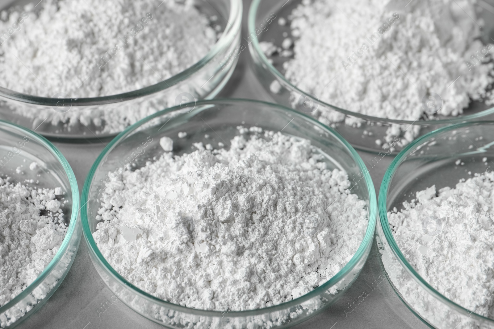 Photo of Petri dishes with calcium carbonate powder on grey table, closeup