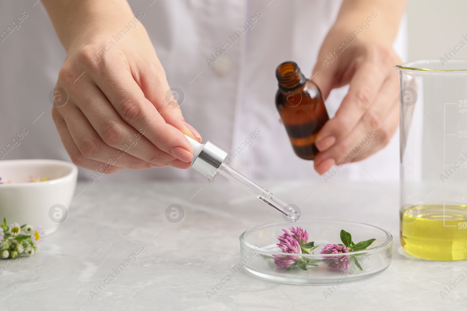 Photo of Scientist developing cosmetic oil at light grey table, closeup
