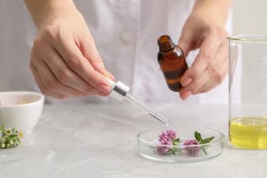 Scientist developing cosmetic oil at light grey table, closeup