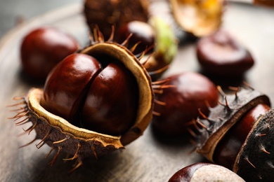 Photo of Horse chestnuts on wooden table, closeup view