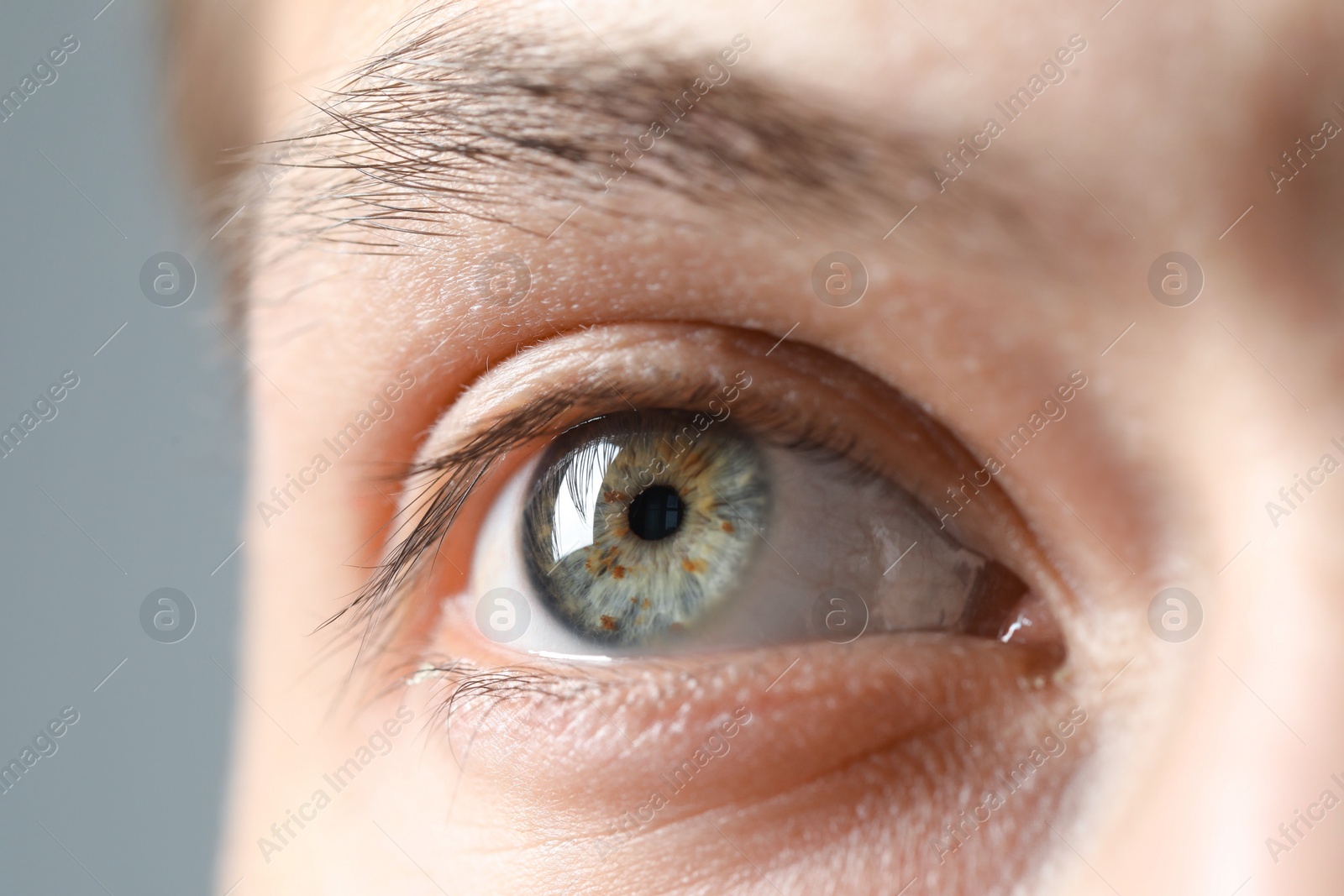 Photo of Perfect vision. Man with beautiful eyes on grey background, closeup